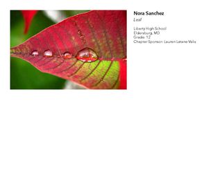 2018 NAHS/NJAHS Juried Exhibit_