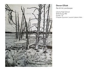 16_2020 NAHS Exhibit_VG